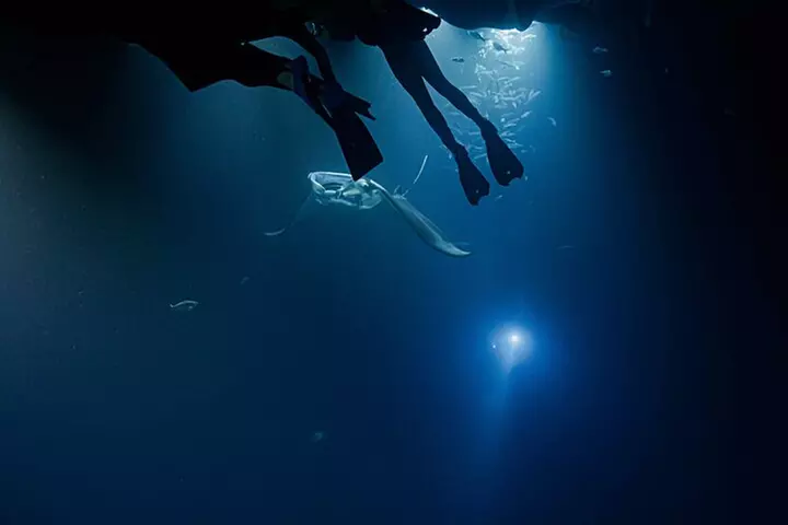 Manta Ray Night Snorkel Adventure in Kona - Second Medium