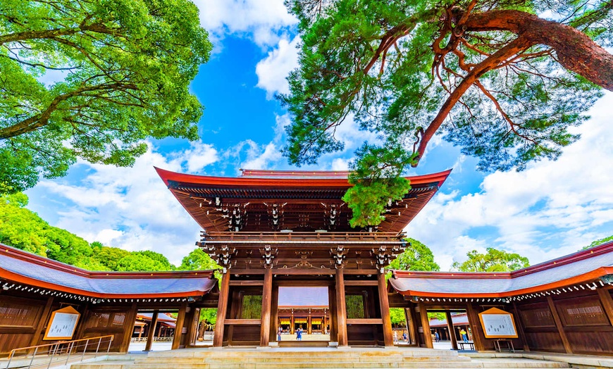 Image 3: ✈ GIAPPONE | Tokyo - City break a Tokyo ed evasione in ryokan, 9 no...