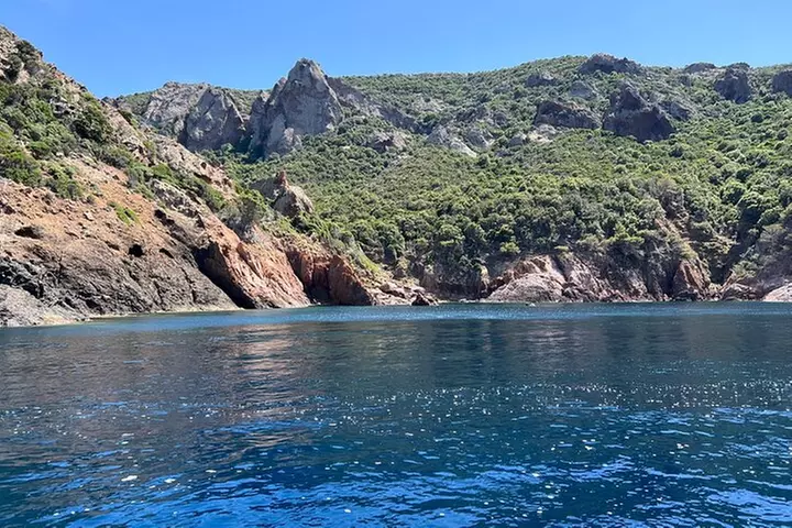 Excursion en Petit Comité dans la Réserve de Scandola