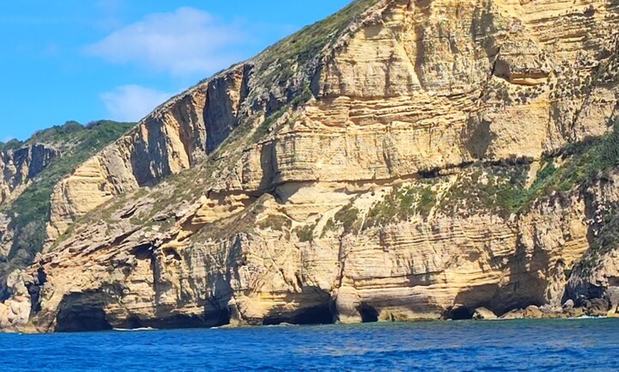 Image 14: Tour Privado en Barco por Trafalgar,Cádiz con Aperitivo y Snorkel