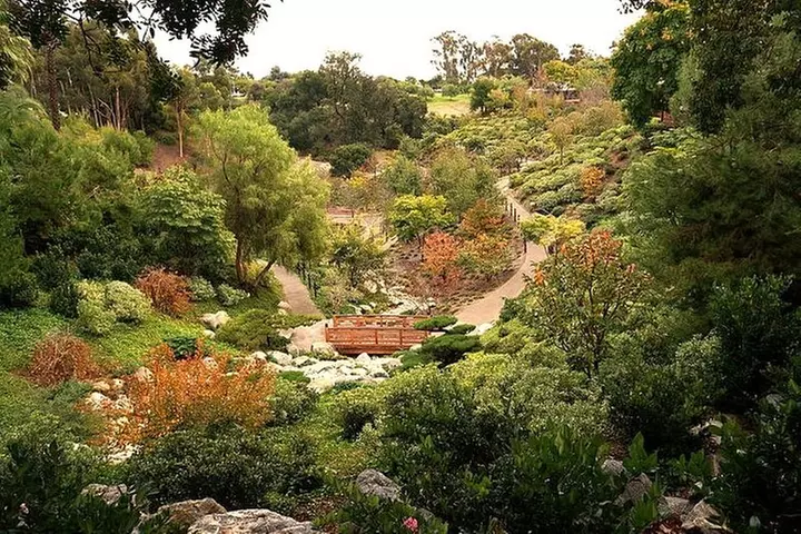 A Local's Guide to San Diego's Sights: A GPS Self-Guided Drive