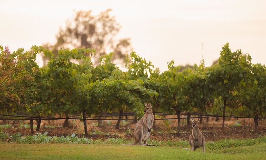 Image 4: Hunter Valley Winery - Premium Tasting for Private Tours