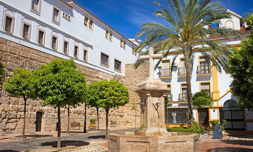 Image 5: Visita Privada Centro Histórico de Marbella