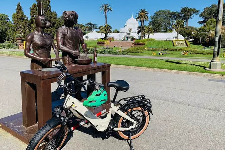 Summer of Love San Francisco Guided eBike Tour Golden Gate Park