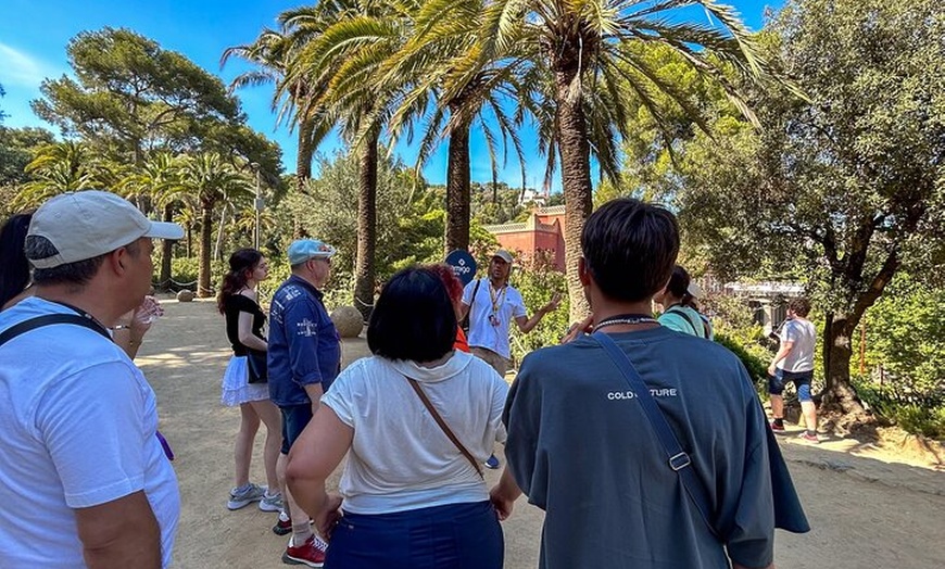 Image 8: Tour por la tarde del Park Güell