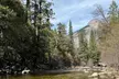 Private 2 Days Tour to Yosemite National Park - Second Medium