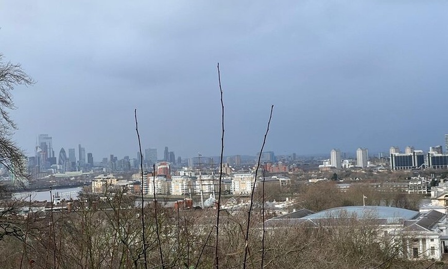 Image 38: Luxury Private Tour in London