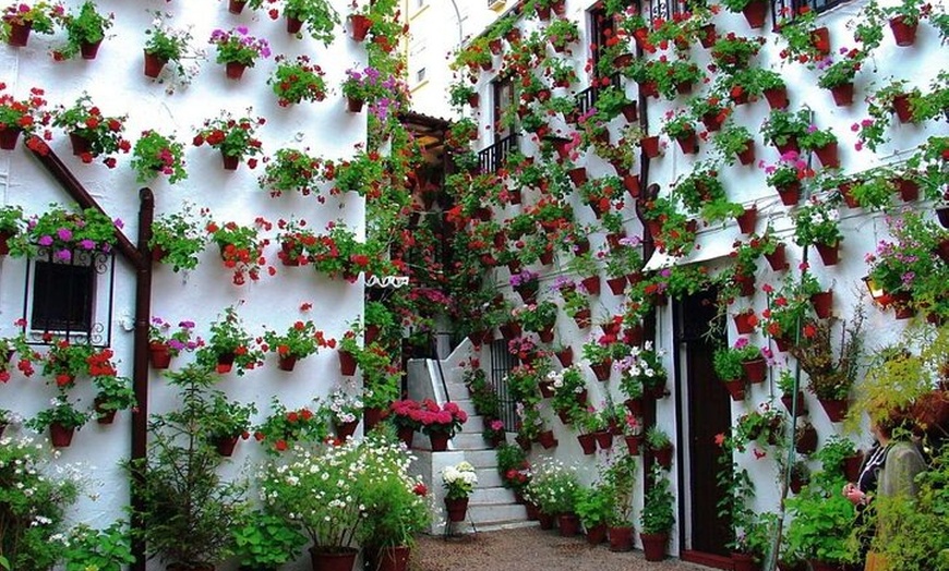 Image 7: Excursión a Córdoba desde Sevilla en Grupo