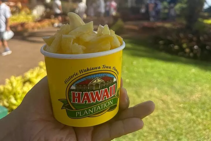 Full Day Oahu Circle Island -Turtle Beach Snorkel at North Shore