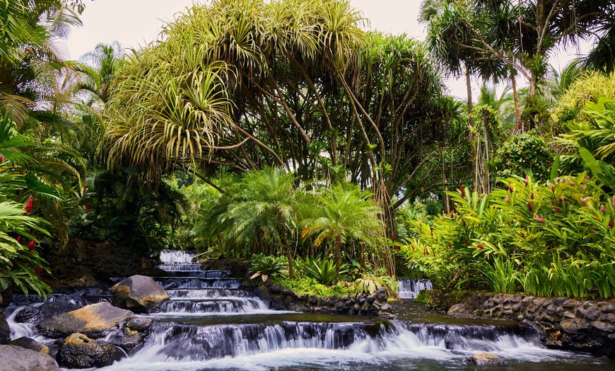 Image 13: ✈ COSTA RICA | San José - Essentiel du Costa Rica avec séjour au Cu...