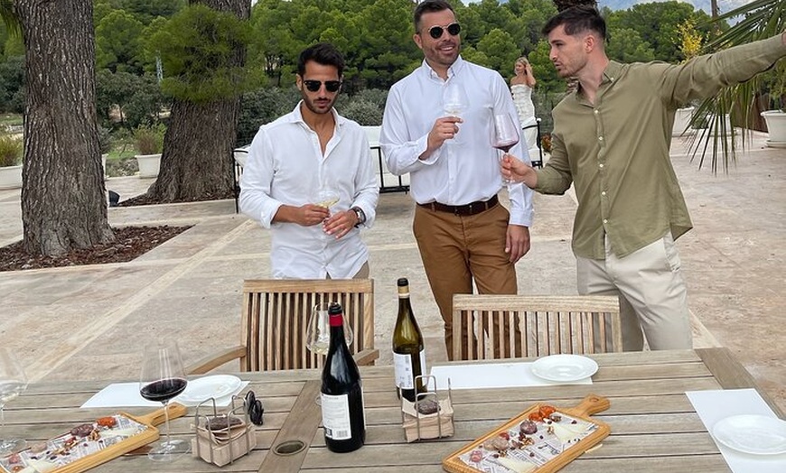 Image 10: Alicante : Catas de Vinos & Tapas Privadas en 2 Bodegas Boutique