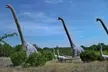 Dinosaur World Glen Rose - Second Medium