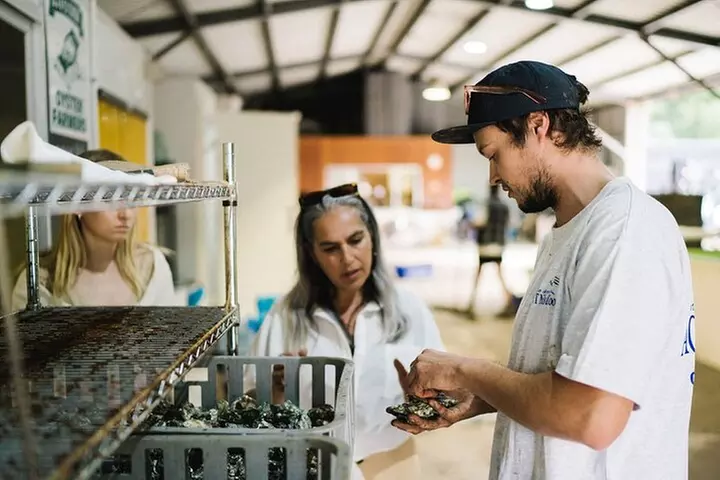 Self Guided E-Bike Tour Oysters, Beer & Coastal Trail