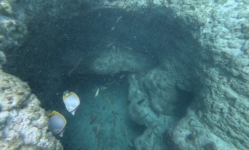 Image 3: Snorkel Adventure in Cancun