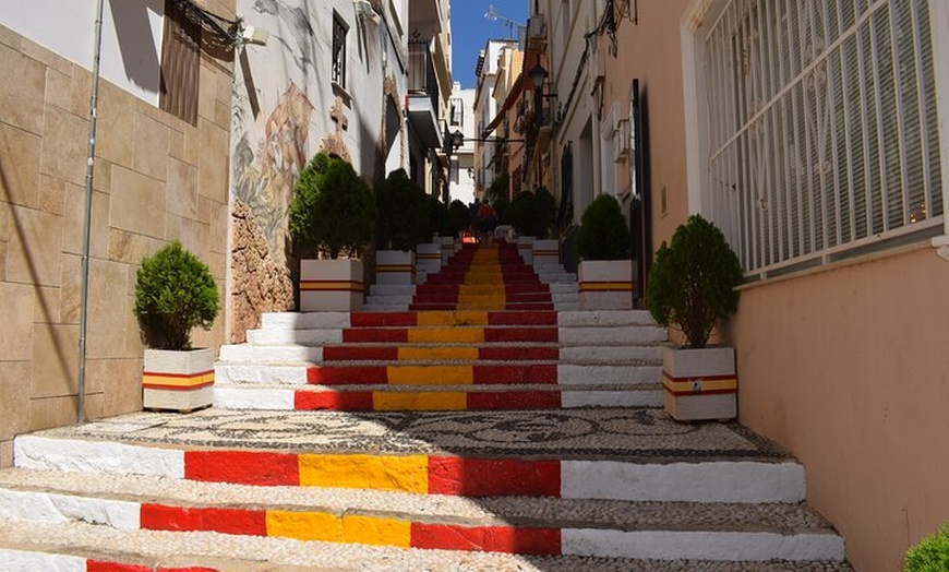 Image 7: Desde Albir y Benidorm Calpe Casco Antiguo y Puerto en Autobús