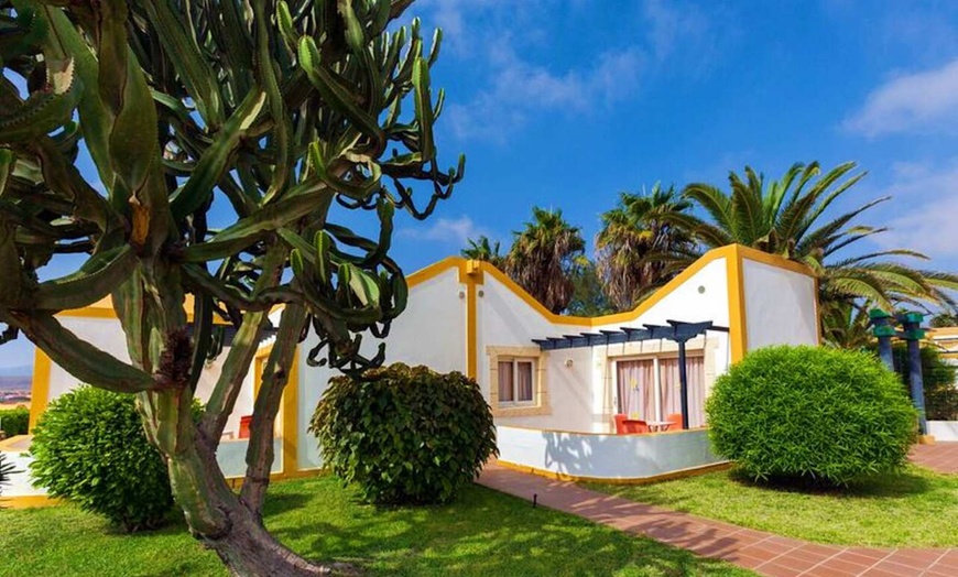 Image 15: ✈ FUERTEVENTURA | Caleta de Fuste - Caleta Dorada 3*, 4 nights - Al...