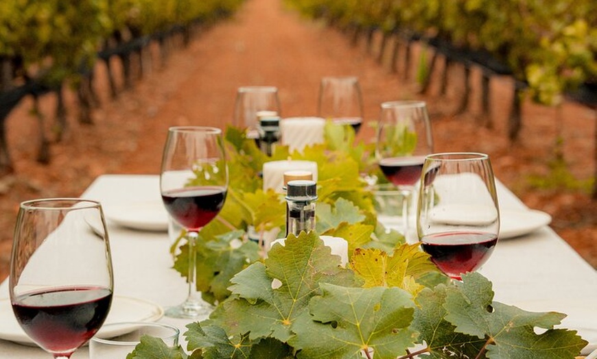 Image 6: Ibiza : Cata privada de vinos y aceites de oliva y Tapas y transporte