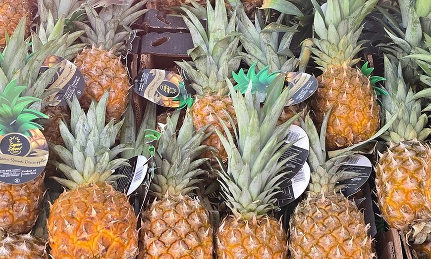 Image 11: Berlin - kulinarische Fahrradtour durch das echte Leben der Stadt