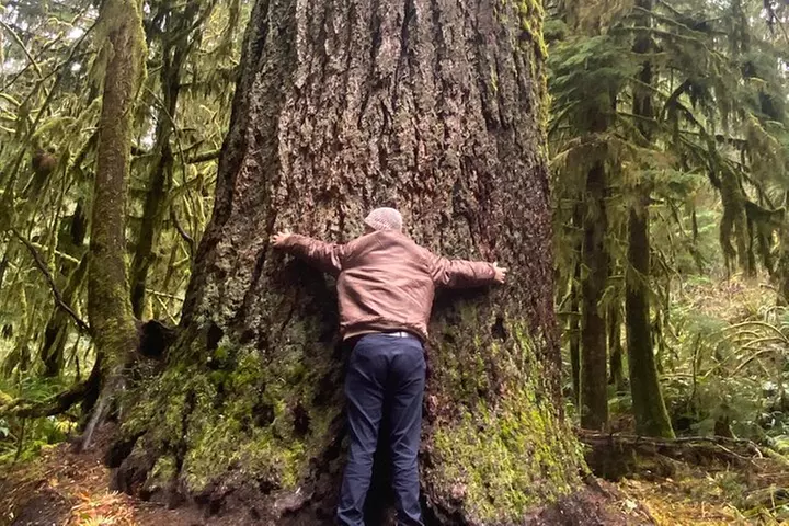 Seattle: Rainforest, Beach, and Olympic National Park Highlights