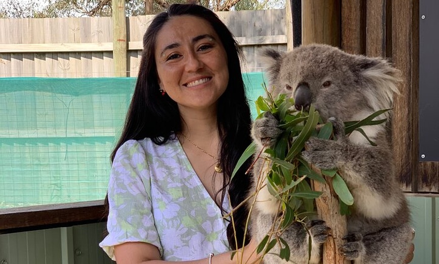 Image 6: Phillip Island Penguin Parade and Wildlife Tour from Melbourne