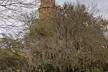 Small Group Haunted History Walking Tour of Charleston - Second Medium