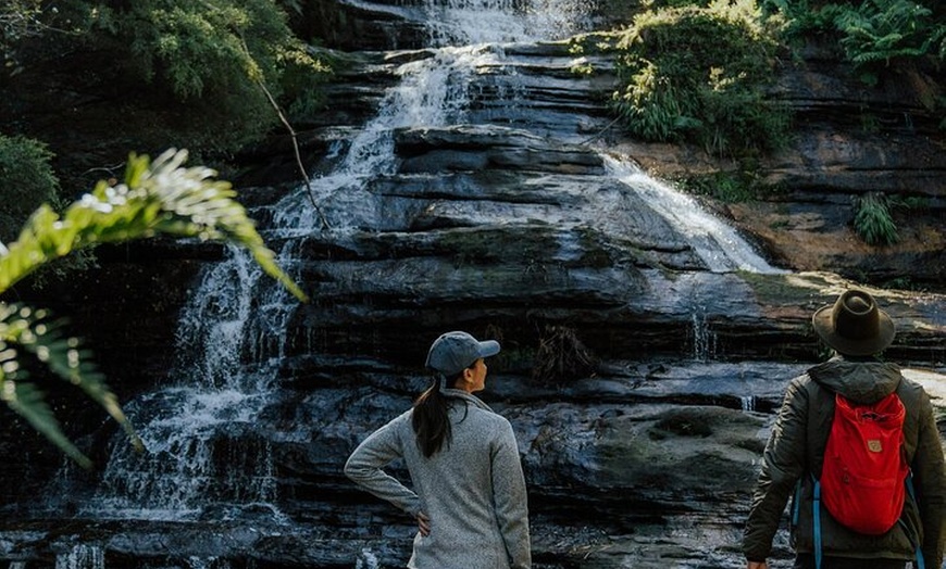 Image 8: Blue Mountains Day Tour -Scenic World, Koalas & Roos (10 ppl MAX)