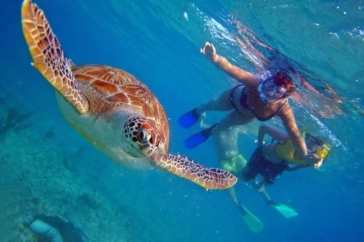 Bahamas Island Private Hopping Adventure - Second Medium