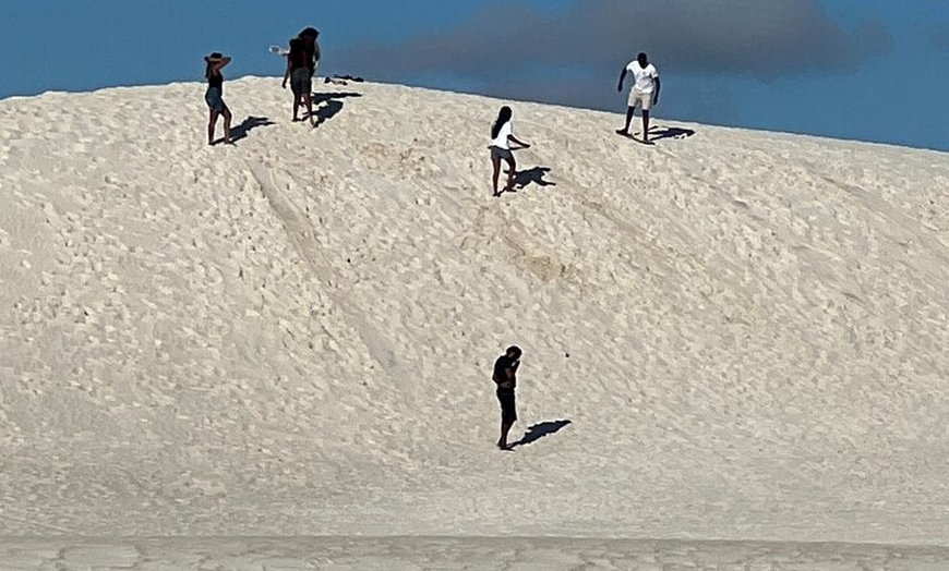 Image 9: Turquoise Coast and Pinnacles Desert, Lunch Included.