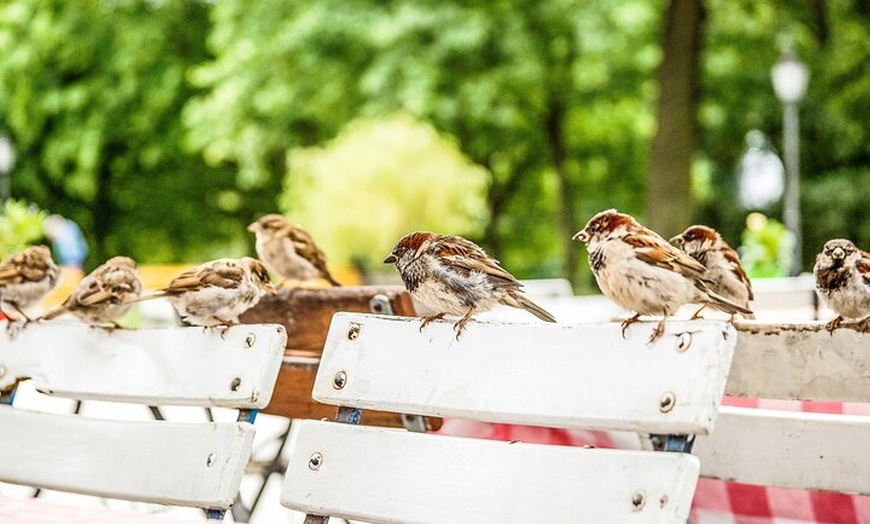 Image 5: Berlin Tierpark Ohne Anstehen Tickets und Individualverkehr