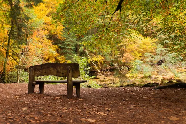 Highland Gems Dunkeld The Hermitage and Blair Atholl Castle - Primary Image