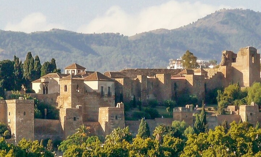 Image 6: Recorrido a pie privado por el centro de la ciudad de Málaga con de...