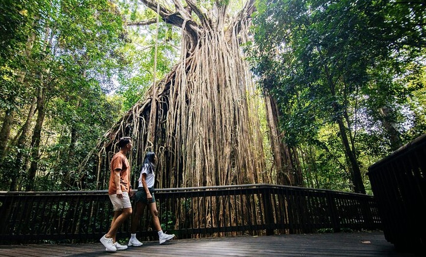 Image 16: East Coast Australia 16 Day Comfort Tour from Sydney to Daintree