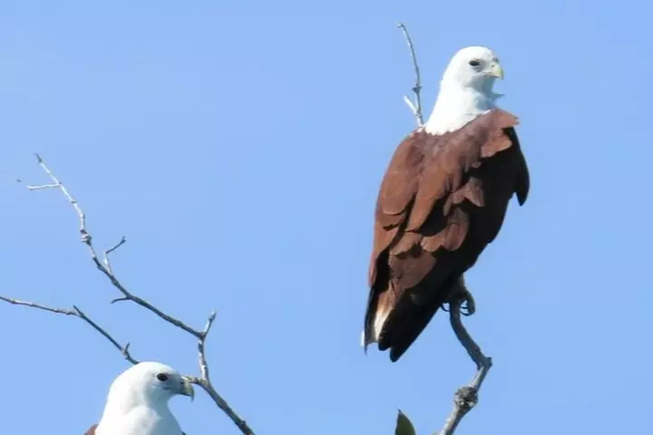 SCENIC AND PREHISTORIC CRUISE - Sparkling Wine & Gourmet Platters