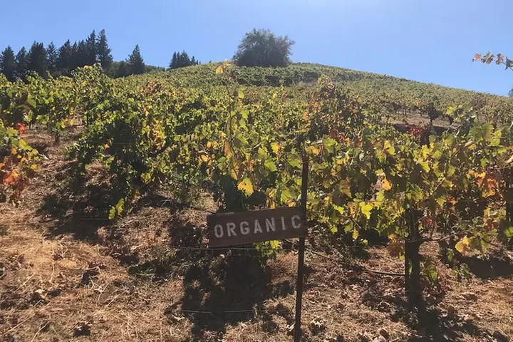 Small-Group Wine Country Tour from San Francisco with Tastings