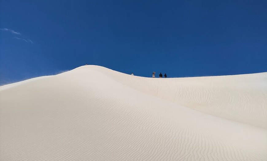 Image 3: Pinnacles+Lancelin Sand Dune Impression Day Tour from Perth