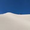 Image 3: Pinnacles+Lancelin Sand Dune Impression Day Tour from Perth