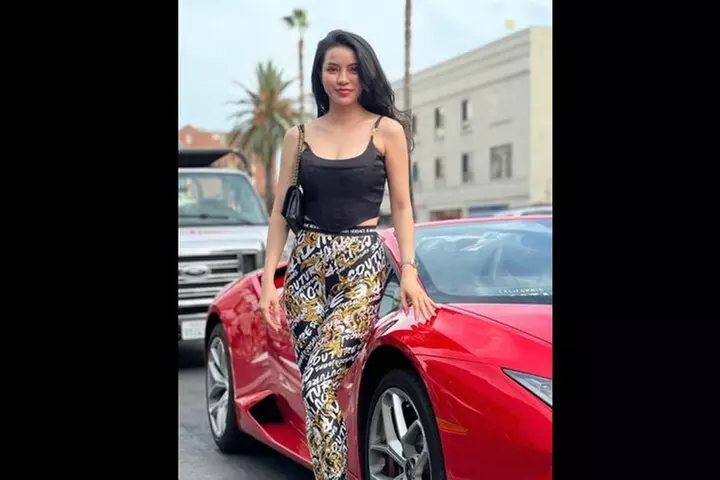 20-Minute Driving Tour: Hollywood to Sunset Blvd in a Lamborghini