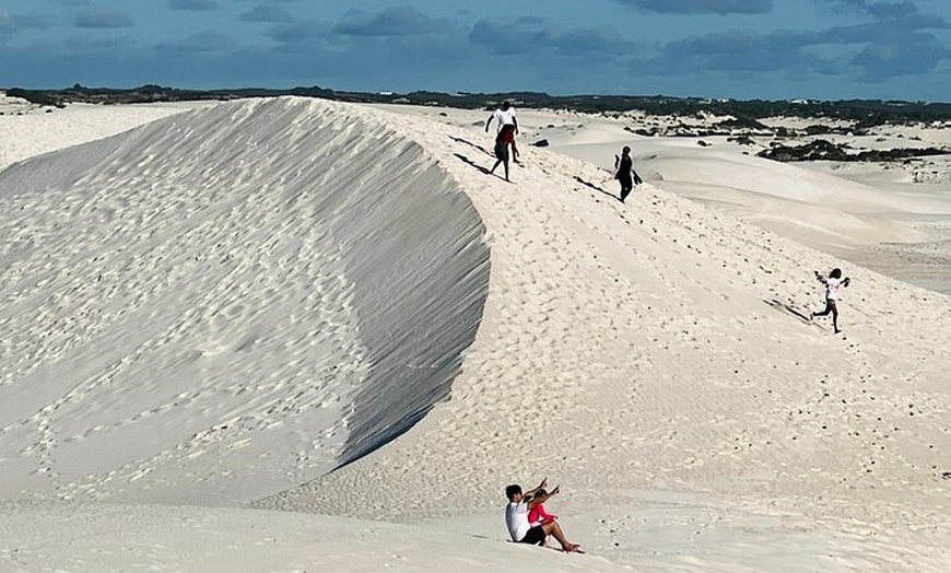 Image 10: Turquoise Coast and Pinnacles Desert Private day Tour from Perth