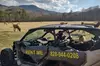 3.5-4 HR UTV ECO Elk Wilderness Adventure