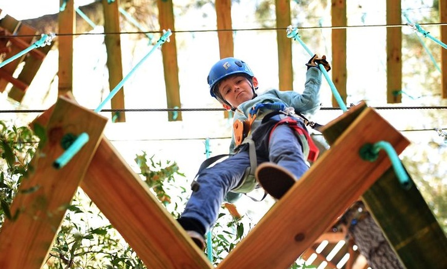 Image 2: Lane Poole Park Dwellingup - Tree Ropes Course