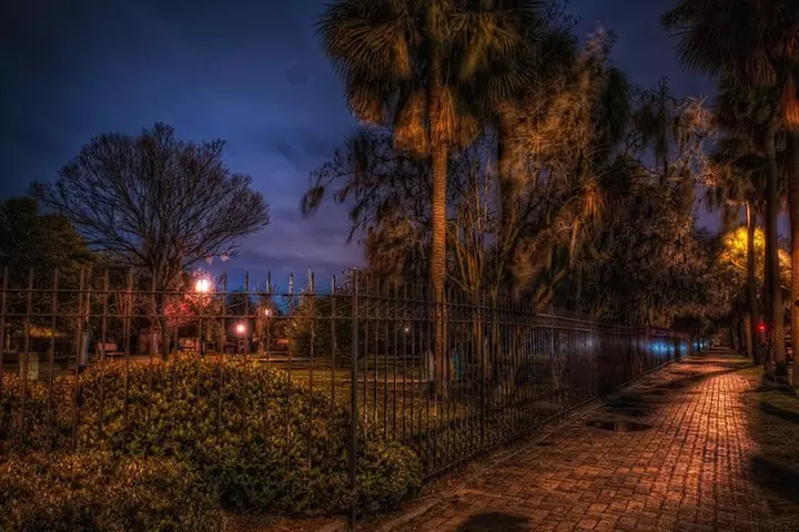 Savannah Beyond Good & Evil Tour