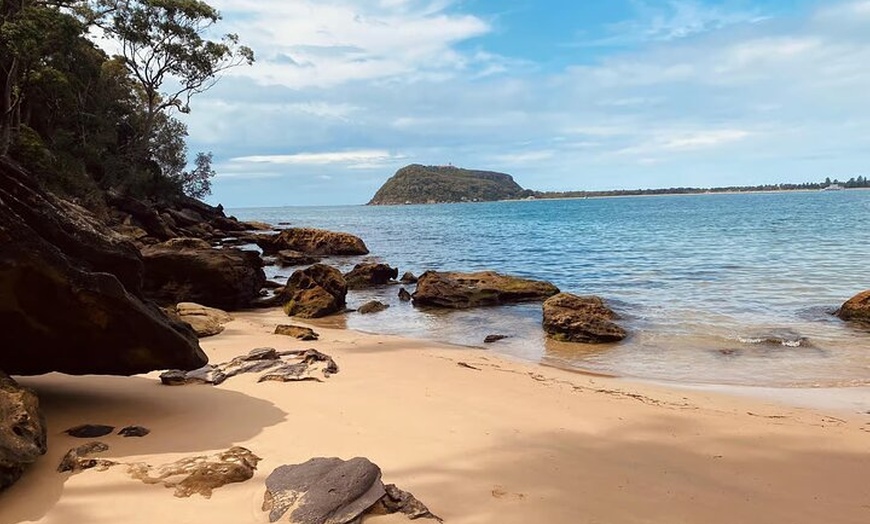 Image 13: Sydney: Ku-ring-gai Chase National Park with Hike, Swim, Picnic