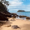 Image 13: Sydney: Ku-ring-gai Chase National Park with Hike, Swim, Picnic