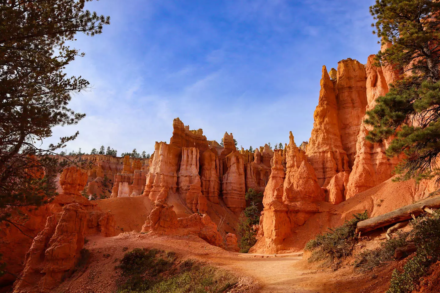 ✈ NEVADA | Las Vegas - Il Meglio dell'Ovest Americano al Volante 3*...