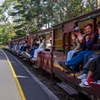Image 4: Puffing Billy, Forest Trails and Yarra Valley Discovery Tour