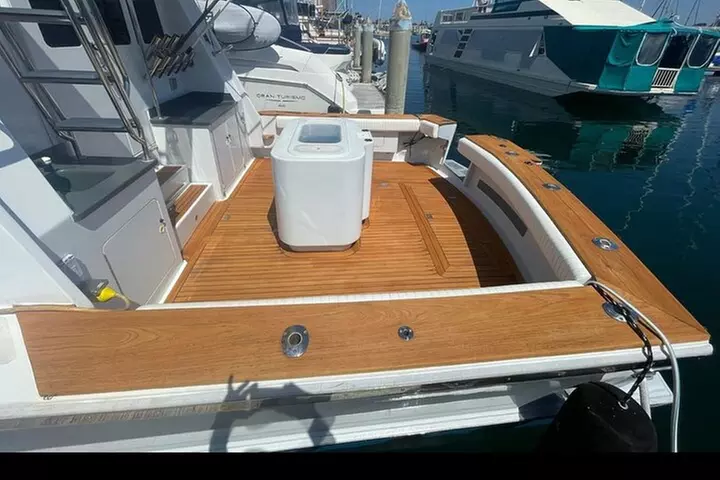 Private Luxury Whale Watching Tour in San Diego - Second Medium
