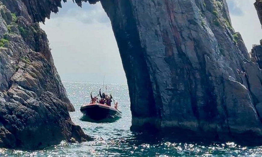 Image 10: Torquay Coastal RIB Seafari