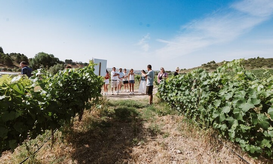 Image 20: Visita Guiada a Bodegas Rurales de Madrid con Cata de Vinos