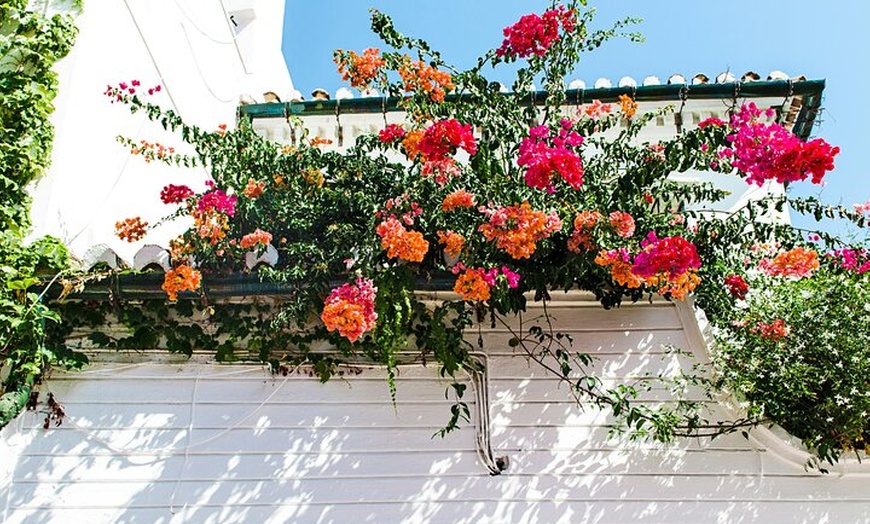 Image 7: Excursión de un día a Córdoba desde Sevilla con visita guiada