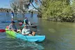 Crystal River Sunset Kayak and Paddleboard with Manatees Rental - Second Medium